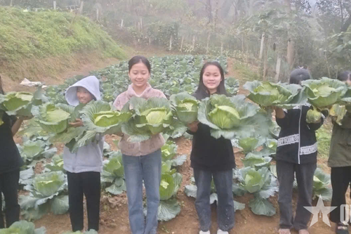 Trường học vùng biên Nghệ An giúp dân xóa đói, giảm nghèo