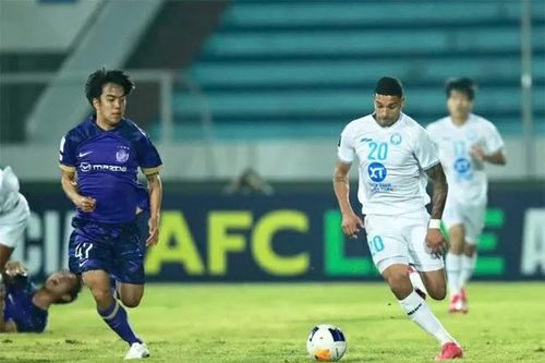Thua đậm CLB Sanfrecce Hiroshima, Nam Định coi như dừng bước ở cúp châu Á