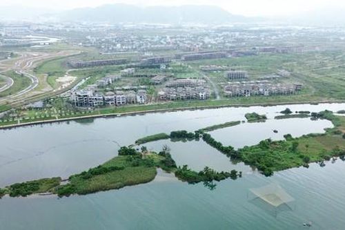 Cảnh hoang tàn của 'siêu' đô thị sinh thái 381ha 'view triệu đô' ở Đà Nẵng