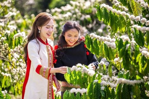 Hoa hậu quê Đắk Lắk quảng bá càphê Buôn Mê Thuột và Việt Nam tới bạn bè quốc tế