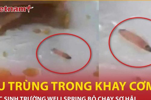 Học sinh sợ hãi vì phát hiện ấu trùng trong suất ăn trưa ở trường Wellspring