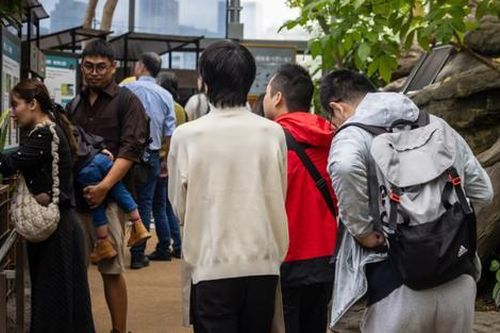 Sở thú cấm du khách nam đi một mình, nhiều người bức xúc
