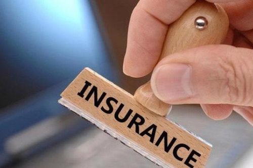 Động lực phát triển kinh tế từ những công ty bảo hiểm nhân thọ 'made in Vietnam'