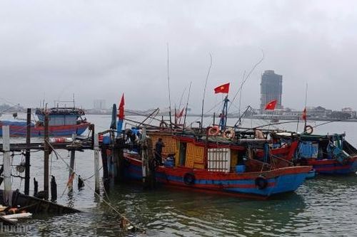 Quảng Bình: Ngư dân hứng khởi vươn khơi thu 'lộc biển'