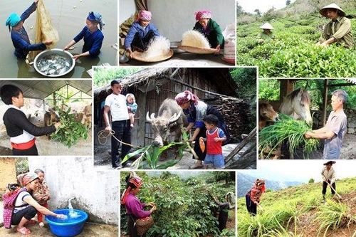 Cần thiết ưu tiên nguồn lực cho những 'vùng trũng' trong triển khai SDG