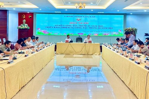Quyết liệt triển khai các nhiệm vụ phát triển kinh tế-xã hội
