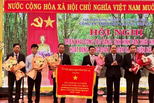 Năm 2025: Công ty cao su Chư Sê phấn đấu tổng doanh thu hơn 324,5 tỷ đồng