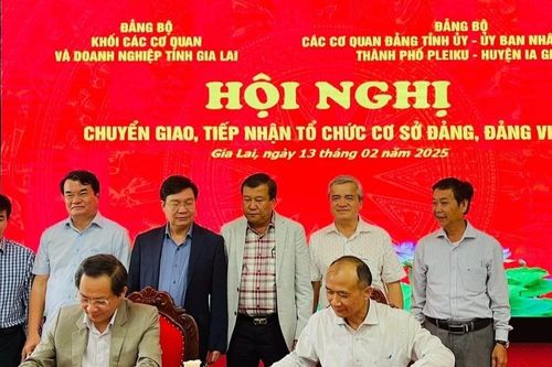 Đảng bộ Khối các Cơ quan và Doanh nghiệp tỉnh Gia Lai chuyển giao 105 tổ chức Đảng với 4.558 đảng viên