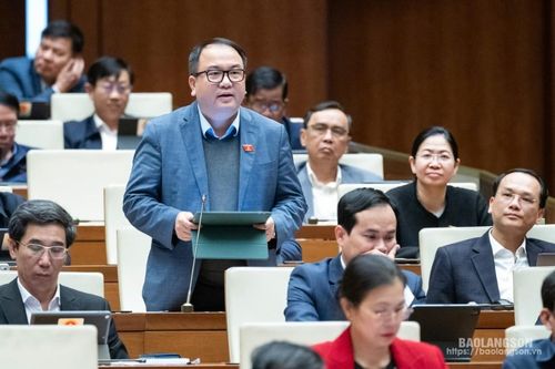 Đại biểu Quốc hội tỉnh tham gia thảo luận về dự án luật liên quan đến văn bản quy phạm pháp luật và tổ chức Quốc hội