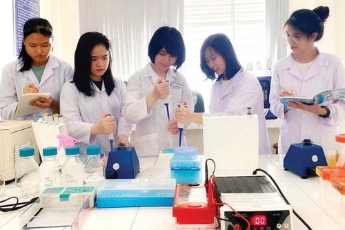 Đại học Huế: Tập trung đào tạo các nhóm ngành mũi nhọn và công nghệ cao