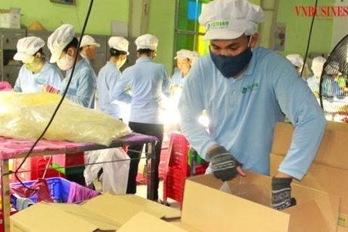 Tìm 'cơn gió thuận' cho ngành hàng nông sản Việt