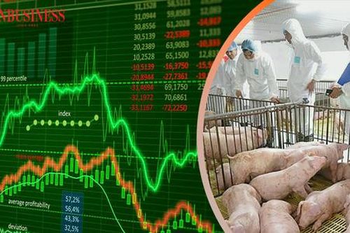 Cổ phiếu chăn nuôi hưởng lợi lớn