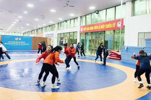 Vật Việt Nam trăn trở tìm lại vị thế