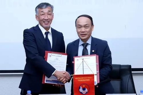 VFF bổ nhiệm chuyên gia Nhật để tranh suất dự World Cup