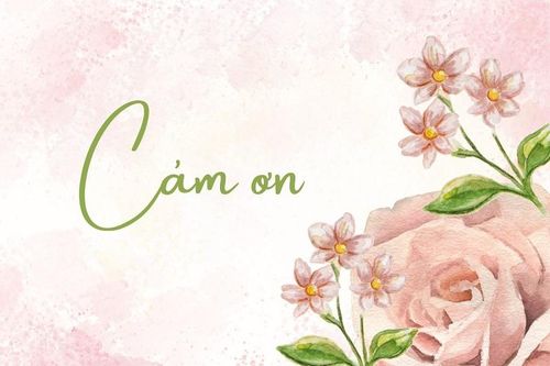 Cảm ơn nhân gian, cảm ơn cuộc đời