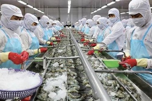 'Vua tôm' Minh Phú (MPC) báo lỗ kỷ lục, dù doanh thu tăng mạnh