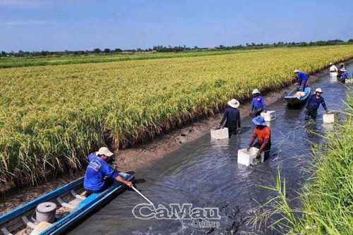 Khá lên nhờ chuyển đổi phù hợp