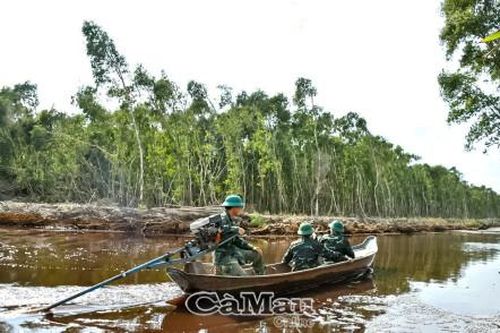 Hương tràm vùng biên