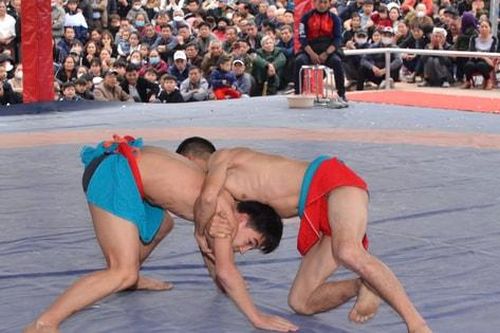 Sôi động Giải vô địch Vật tự do, dân tộc truyền thống mừng xuân Xuân Ất Tỵ
