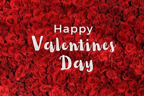 52+ câu chúc đầy lãng mạn, ý nghĩa dành cho người yêu nhân dịp Valentine