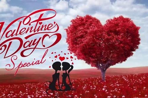 Ý nghĩa và nguồn gốc ngày Valentine 14/2 chính xác nhất