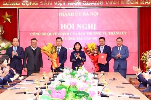 Trưởng ban Tổ chức Thành ủy Hà Nội nghỉ hưu trước tuổi
