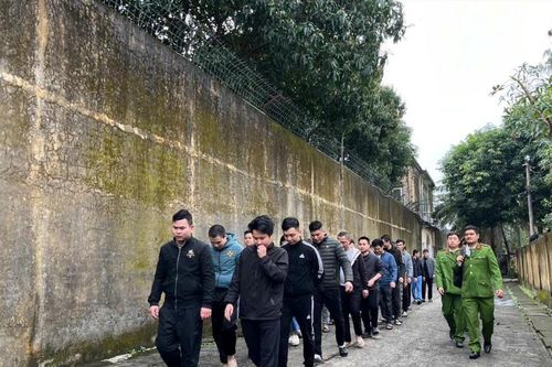 Chặt đứt đường dây 'doanh nhân thành đạt' lừa đảo nhiều phụ nữ đơn thân
