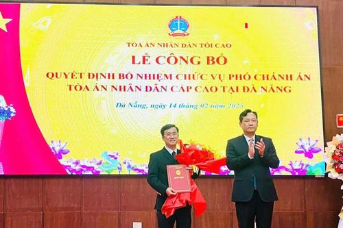 Bổ nhiệm Phó Chánh án Tòa án nhân dân cấp cao tại Đà Nẵng