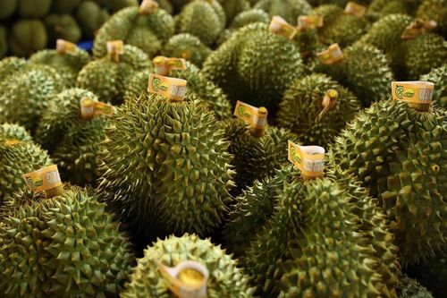 Vàng O là chất gì mà khiến sầu riêng rớt giá?