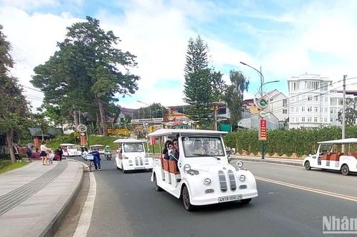 Đà Lạt dừng hoạt động xe điện chở khách tham quan từ ngày 15/2