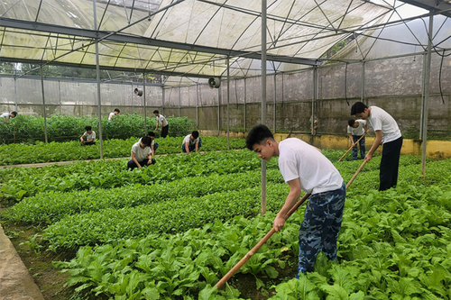 Ấn tượng công tác tăng gia sản xuất tại Hải đội 102, Bộ tư lệnh vùng Cảnh sát biển 1