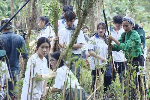 Gala Thủ lĩnh sống xanh có gì bất ngờ?