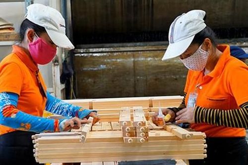 Chủ tịch Hiệp hội Gỗ và lâm sản Việt Nam bị bắt ảnh hưởng đến hội chợ quốc tế?