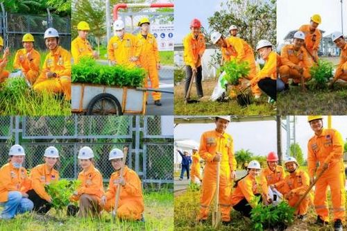 PV GAS CA MAU tổ chức chương trình trồng cây và hội thao mừng xuân