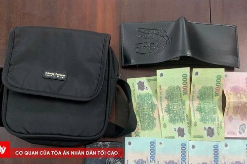 Lợi dụng sơ hở, trộm cắp túi xách của chủ cửa hàng