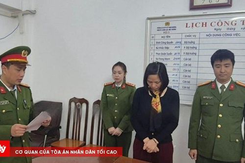 Một phụ nữ bị khởi tố vì làm giả báo cáo đánh giá tác động môi trường