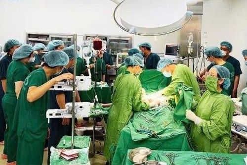 Bật báo động đỏ toàn lực cứu người phụ nữ cơ hội sống 'gần bằng 0'