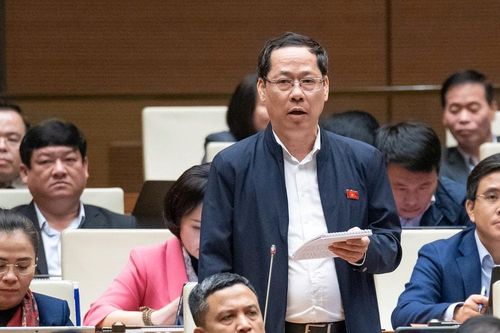 Đại biểu Quốc hội đoàn Nghệ An đề xuất giải pháp để cơ quan chuyên môn thuộc UBND cấp tỉnh, cấp huyện hoạt động ngay sau sắp xếp