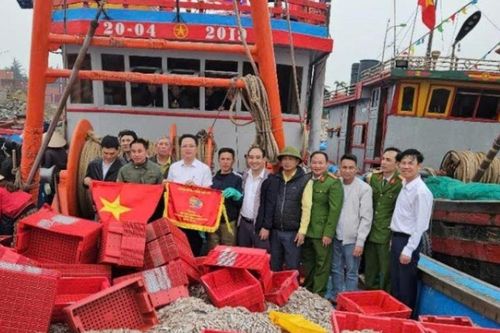 Trúng gần 30 tấn cá cơm, ngư dân Nghệ An thu về 300 triệu sau một ngày ra khơi