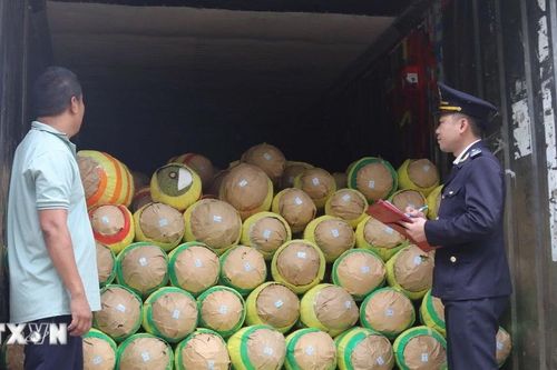 Nông nghiệp là lĩnh vực hợp tác quan trọng giữa Quảng Tây và Việt Nam