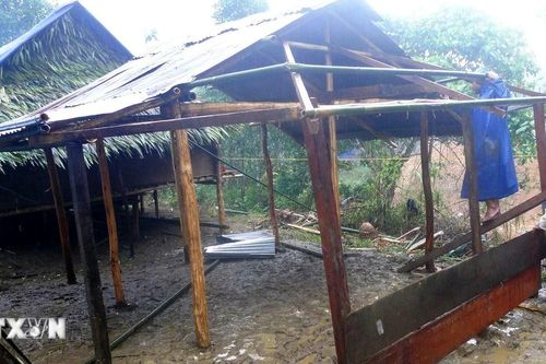 Thành phố Hồ Chí Minh và Bà Rịa-Vũng Tàu là hai địa phương 'trắng' hộ nghèo