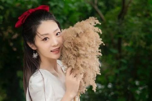 Nữ diễn viên xinh đẹp 'Chân Hoàn truyện' bị cảnh sát bắt giữ