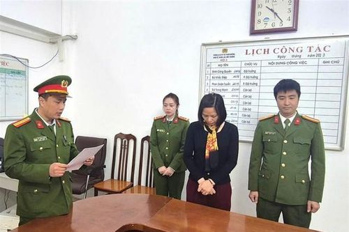 Làm giả giấy tờ để được chỉ định thầu, một phụ nữ bị khởi tố