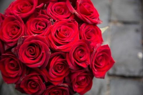 Ngày Valentine: Giới trẻ tìm kiếm sự ổn định tài chính trong tình yêu