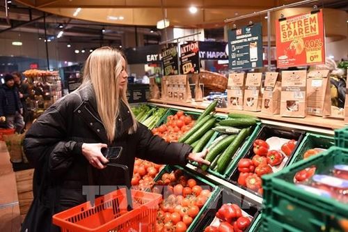 Kinh tế Eurozone đối mặt với nhiều rủi ro suy giảm trong năm 2025