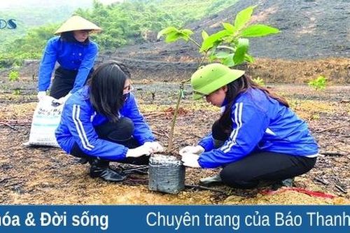 Gieo mầm mùa xuân
