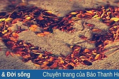 Mùa của tình yêu...