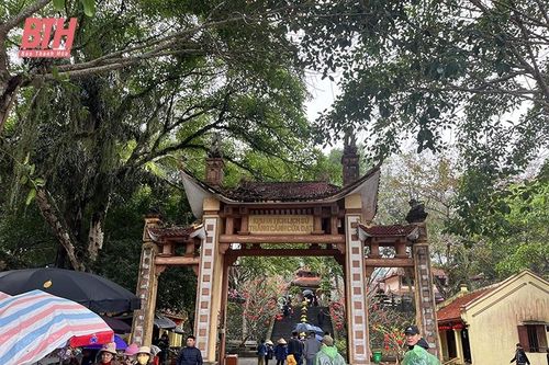 Nhộn nhịp tour 'lên rừng, xuống biển'