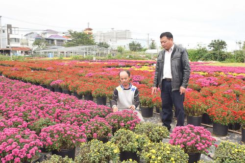 Nông dân Khuê Mỹ đẩy mạnh chuyển đổi mô hình sản xuất