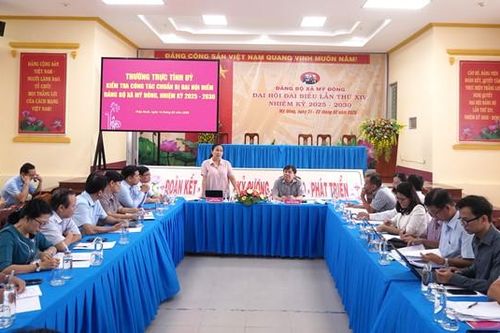 Kiểm tra công tác chuẩn bị Đại hội điểm cấp cơ sở tại Đảng bộ xã Mỹ Đông